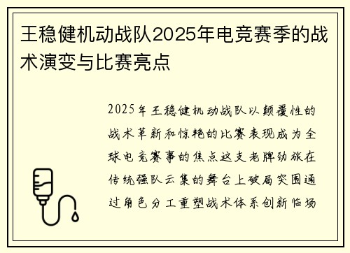 王稳健机动战队2025年电竞赛季的战术演变与比赛亮点